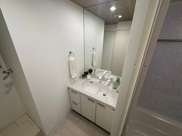 アーデンタワー北堀江の独立洗面台