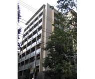 シャリオ本芝の画像