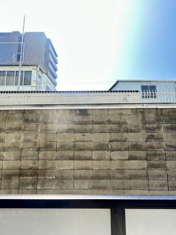 Field courtの展望