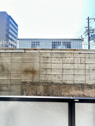 Field courtの展望