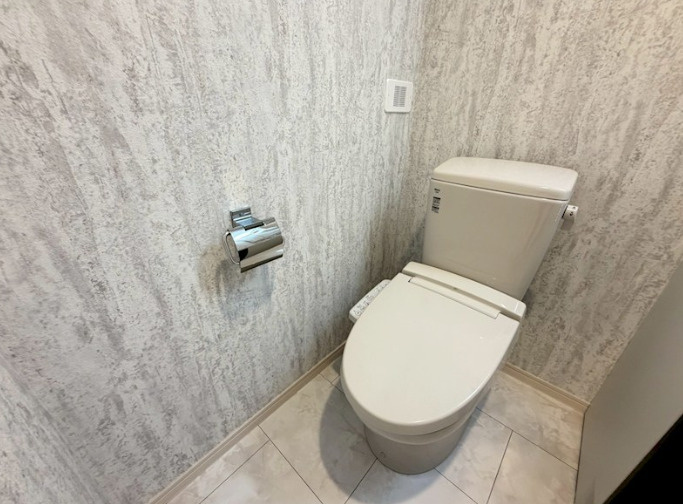 Ｖｏｌｐｉｎｏのトイレ