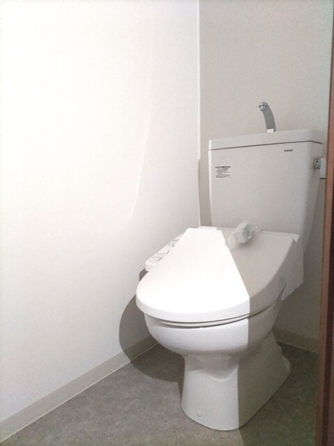 熊本市中央区保田窪１丁目の賃貸マンションのトイレ