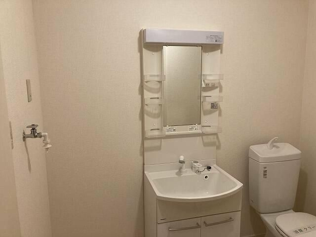 シェモア伊勢原の独立洗面台