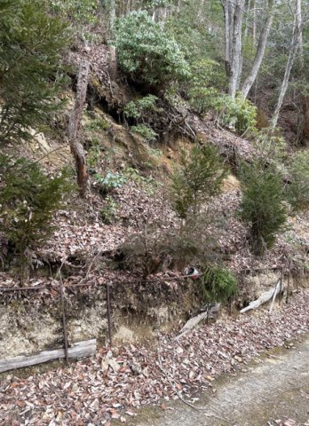京北町売地の周辺
