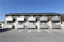 グレイス コート 若草の画像