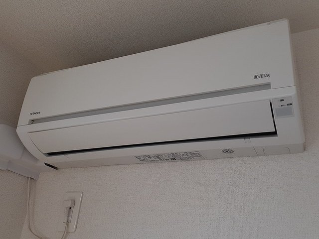 フェリーチェのその他