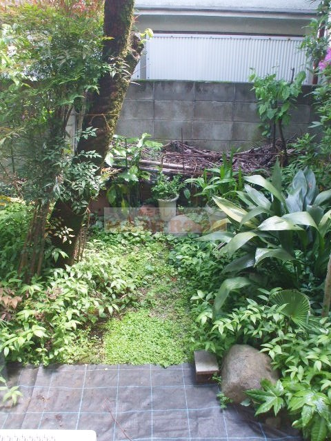 アビーロードのバルコニー