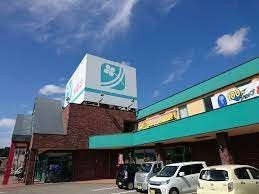 ビブレ　織田の周辺|メルシまで500m