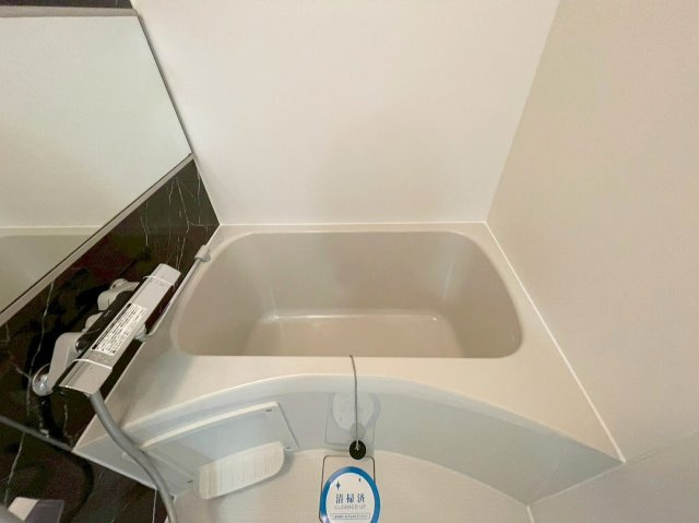 アドバンス新大阪ラシュレの浴室