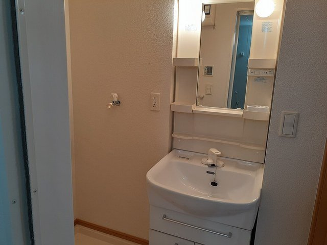 ジャルダンフルールＡの洗面所