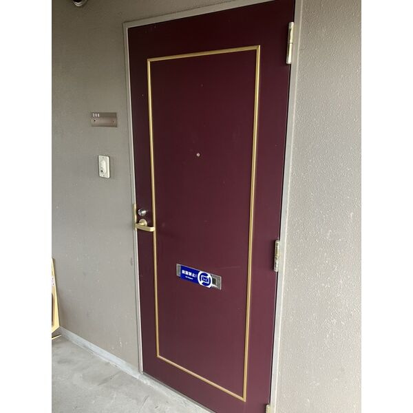 岡崎市伊賀新町の賃貸マンションの玄関