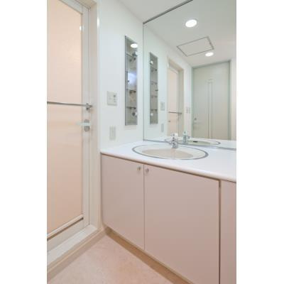 パークノヴァ調布の洗面所|別号室の写真です