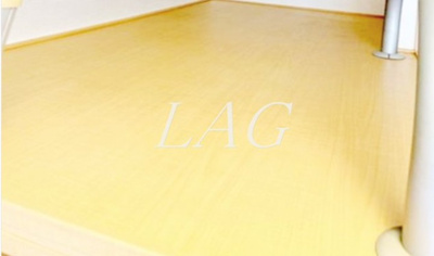 【内装】 | ザ・ハウス南千住 | ロフトになります。