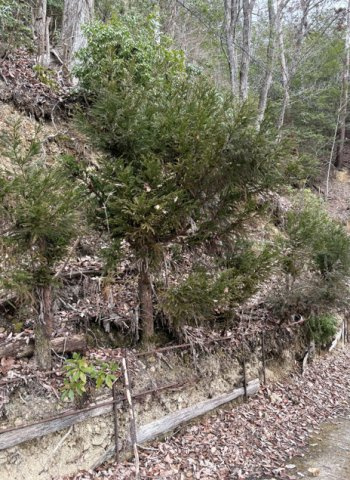 京北町売地の外観