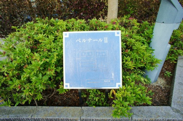 ベルナールⅡのその他