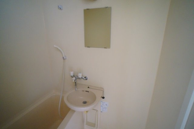 カーサ・デ・ミレニアムイーストの洗面所