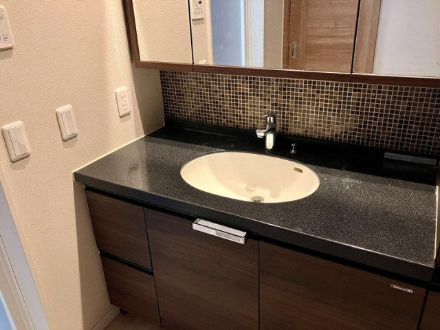 桜戸建の洗面所