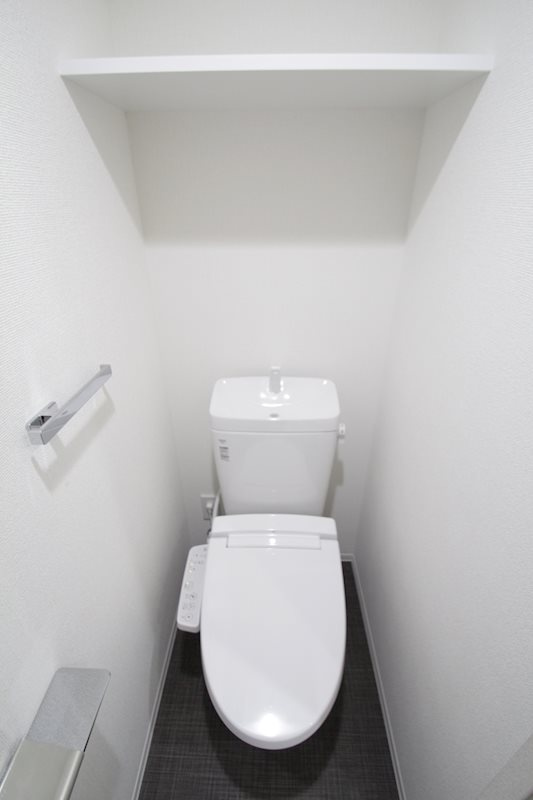 ブライズ関内マキシヴのトイレ