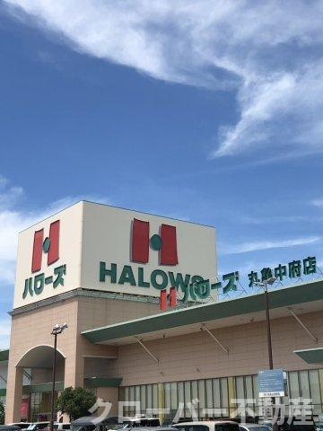 レオパレスフリューゲルの周辺