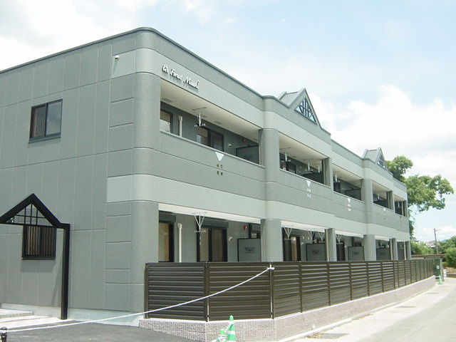 Ｆｏｒｅｓｔ　美咲