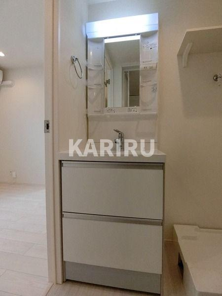 ハーモニーテラス大宮Ⅲ の洗面所