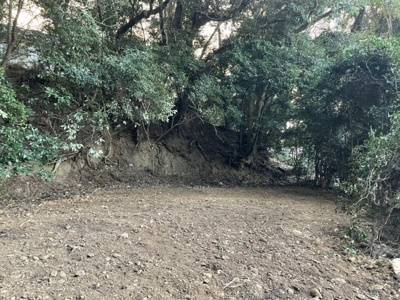【周辺】 | 磐田市三ヶ野　宅地山林 | 磐田バイパス三ヶ野ICすぐの宅地【土地面積】989.47㎡(299.31坪) 、【山林面積】689㎡がついています