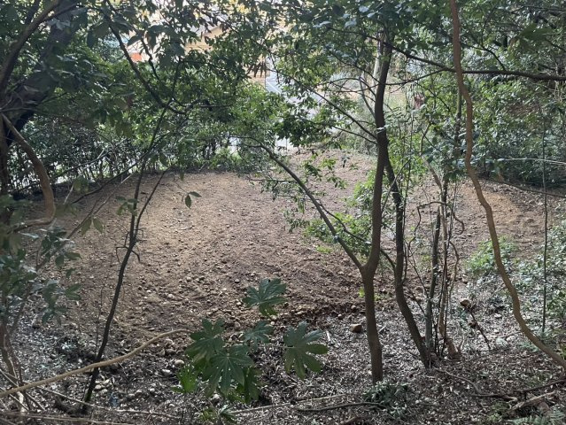 【前面道路含む現地写真】 | 磐田市三ヶ野　宅地山林 | 磐田バイパス三ヶ野ICすぐの宅地【土地面積】989.47㎡(299.31坪) 、【山林面積】689㎡がついています