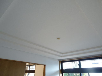 【内装】 | スプリングガーデン | 天井