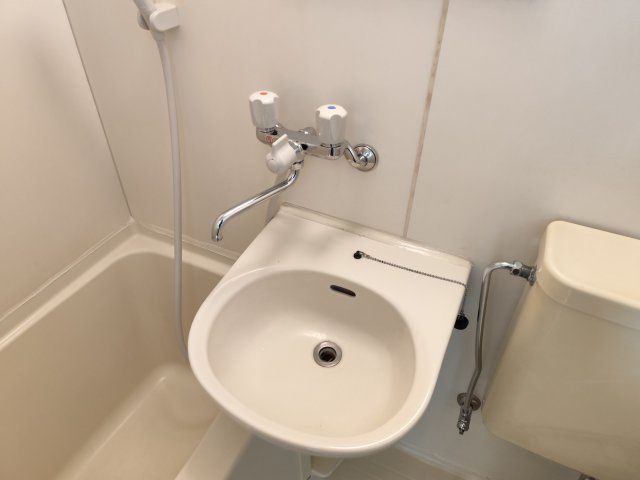 ハイム本一色の洗面所