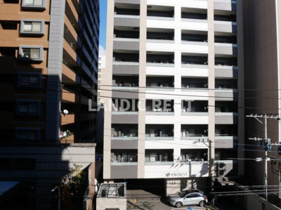 【展望】 | New La luce