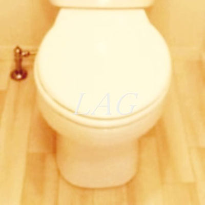 【トイレ】 | Ｌｕｘｅ吉祥寺 | トイレです。