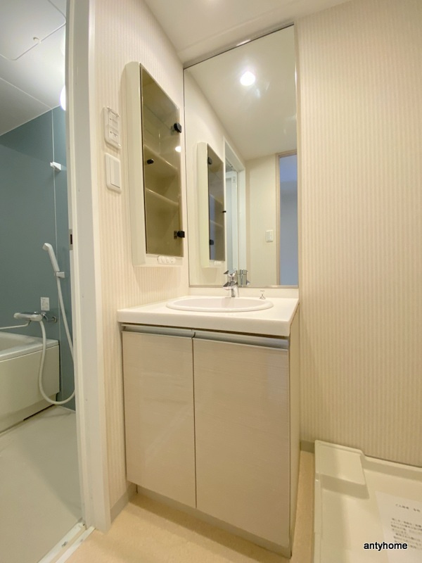 フォーチュニー大手前　仲介手数料無料の洗面所