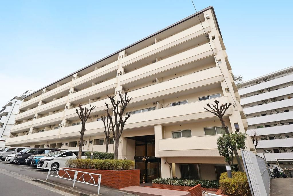 ゾンネンハイム大橋の外観