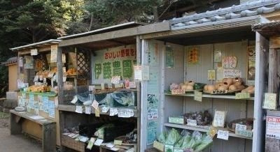 グラン・ソレイユの周辺|伊藤農園直売所まで197m