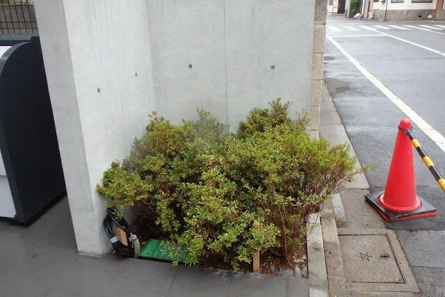 コンポジット駒込のその他