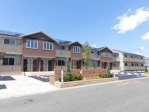 クローバーの画像