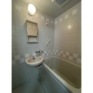 グリーンヒルイトウの浴室