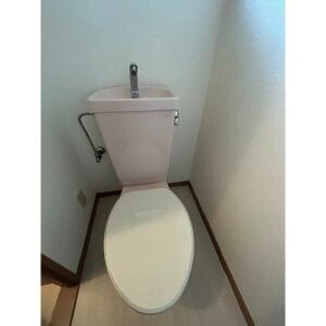 グリーンヒルイトウのトイレ