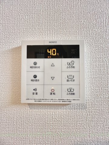 ラコルタ　ブローン