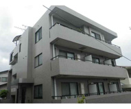 コトータカハシの画像