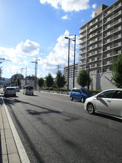 【その他】 | マンハイム五条 | 前面道路