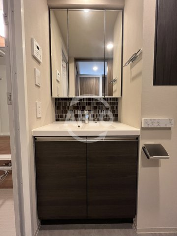 ザ・パークハビオ塚本の独立洗面台|ザ・パークハビオ塚本　洗面台