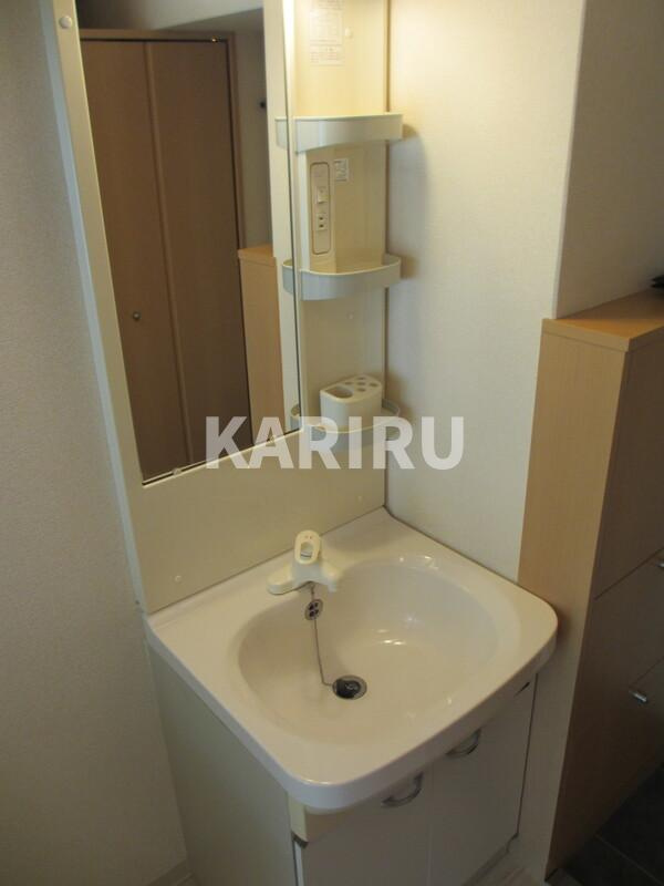 ルフォン今里の洗面所