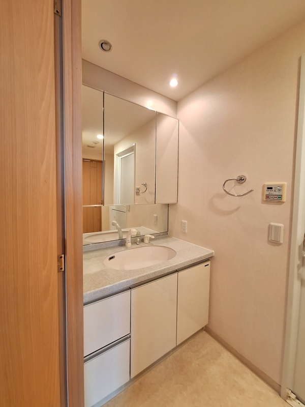 アーバンキャッスル東川口の独立洗面台