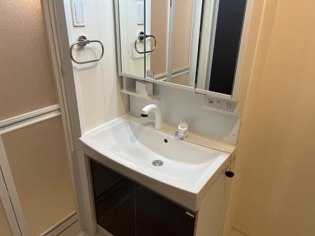 LUXE queenの独立洗面台|洗髪洗面化粧台（イメージ）