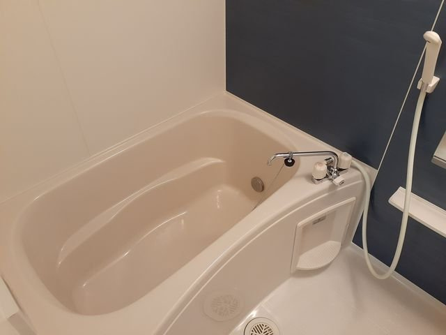 スウィート　Ⅱの浴室|お風呂です