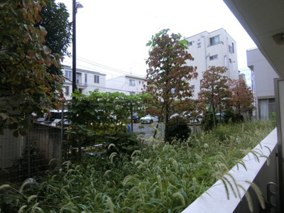 【展望】 | ハーモニーレジデンス武蔵小杉フォレストスクエア | 他のお部屋の参考写真となります。