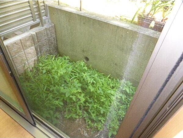 グリーンヴィル八雲　Aのバルコニー