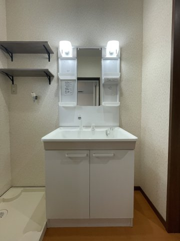 八代ガーデンハイツBの洗面所