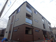 Ｃｏｌｉｎａ　Ａｌｔａの画像